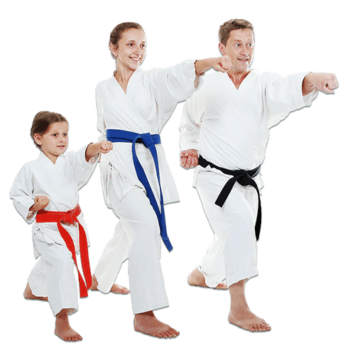 Martial Arts Lessons for Families in Falls Church VA - Man and Daughters Family Punching Together