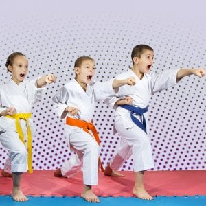 Martial Arts Lessons for Kids in Falls Church VA - Punching Focus Kids Sync