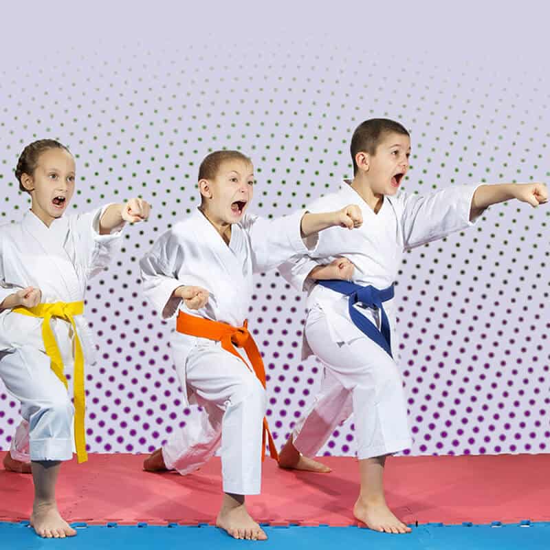 Martial Arts Lessons for Kids in Falls Church VA - Punching Focus Kids Sync